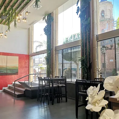 Hotel Salymar